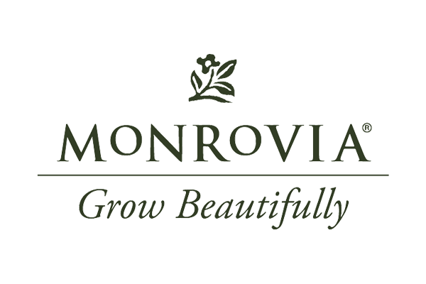 Suntory Flowers at Monrovia